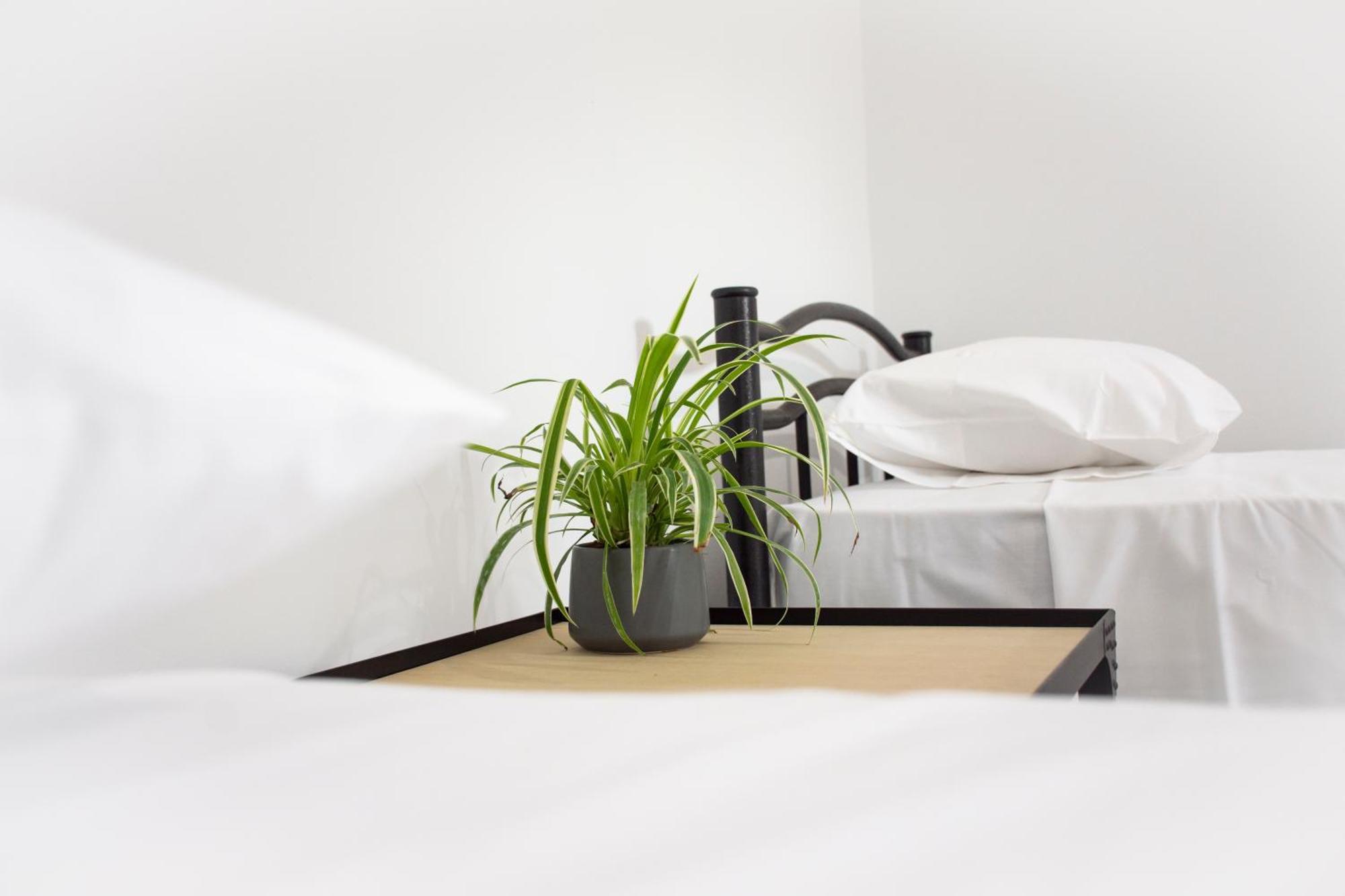 Christina Apartment Kíssamos Zewnętrze zdjęcie